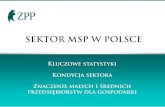 Polska gospodarka to › wp-content › uploads › 2016 › 06 › ... · Klauzula obejścia prawa podatkowego to instrument prześladowania małych firm. 16