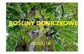 ROŚLINY DONICZKOWEeko.uj.edu.pl/weiner/kursy/wbnz845/Donice_2018.pdf · 2018-01-29 · 30 27 24 21 18 15 12 9 6 3 Distance Ciosek Cyzewski Korabik_Dominika Szczepanek_Julia Grzesiowska