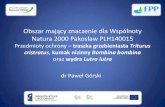 Obszar mający znaczenie dla Wspólnoty Natura …warszawa.rdos.gov.pl/files/artykuly/19453/Pakoslaw_I...• Największe zagrożenia dla tego gatunku niesie ze sobą działalność