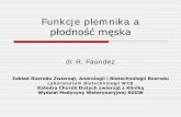 Funkcje plemnika aklinikakoni.sggw.pl/attachments/article/82/Wyk_2_Określenie funkcji... · Testy określające funkcji plemnika Standardowa analiza nasienia wg WHO 2010 Komputerowa