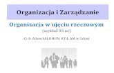 Organizacja i Zarządzanie - WEBD.pl › download › AS_OiZ_w03ns.pdf · •techniczna – techniczny ... •organizacja pracy zespołu: ookresowe uczestnictwo w zespole i działanie