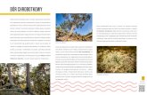 Bór chrobotkowy · 2020-05-04 · Sukulenty to rośliny świetnie zaadaptowane do trudnych warunków bytowych, szczególnie do miejsc o małej ilości wody (pustynie, wydmy) i dużym