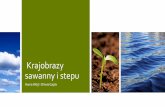 Krajobrazy sawanny i stepu - Szkoła Podstawowa nr 4 w …sp4-skierniewice.pl/.../03/Krajobrazy-sawanny-i-stepu.pdf · 2020-03-25 · Krajobrazy sawanny i stepu ania Wójt i liwia
