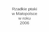 Rzadkie ptaki w Maáopolsce w roku 2006 · • àab dz czarnodzioby Cygnus columbianus • 02.- 03. – 1 juv. Kraków (S.Czy *i in. ) • 01.-07.04. – 2 ad.+4 imm. Przer b k. Zatora