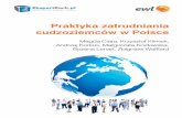Kompleksowe opracowanie na temat zatrudniania cudzoziemców ... · Praktyka zatrudniania cudzoziemców w Polsce Kompleksowe opracowanie na temat zatrudniania cudzoziemców – aspekty