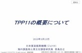 TPP11の概要について - maff.go.jp...GCC諸国 交渉延期・中断 GCC （湾岸協力理事会）： サウジアラビア、クウェート、 ... 41.2 40.3 18.1 5.6 0.0 0.8