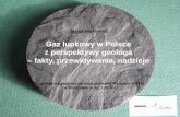 Marek Narkiewicznarkiewicz.eu/PAN-ShaleGas-v2-prezentacja.pdf · 2011-11-08 · otwór Żarnowiec IG 1 – sylur dln.: śr. dla miąższości 63 m – 1,76 % TOC w tym: górne 52