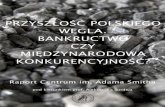 PRZYSZŁOŚĆ POLSKIEGO WĘGLA. BANKRUCTWO …nettg.pl/uploads/docs/2012-07/1341830342-raport-cas...Tezy! raportu I.!Wstęp! Regulacyjneuwarunkowania! międzynarodowejkonkurencyjności