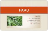 PAKU - WordPress.com...2019/07/02  · Pakis haji , Gymnospermae Paku Tiang, Pteridophyta ZAMAN KARBON Tumbuhan paku pernah menjadi vegetasi utama di bumi, disebut zaman paku Kayu