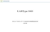 LABType SSO - UMINjshi.umin.ac.jp/qcws/file/qcws/20qcws/20QC_DNA_LABType.pdfH2801 H2802 H2803 H2804 Lab.ID LABType SSO Lot.No HLA -DRB1 HLA -DRB1 HLA -DRB1 HLA -DRB1 28D09 LABType