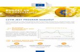 BUDŻET UE. NA PRZYSZŁOŚĆ - European Commission · > Mechanizm finansowy na rzecz kapitału naturalnego > Inwestycje w ramach EaSI na rzecz budowania zdolności > Gwarancje w ramach