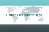 Regiony biogeograficzne - Urząd Miasta Łodziinvertebrates.uni.lodz.pl/wp-content/uploads/wyklad... · 2019-06-13 · [The Great American Biotic Interchange] mln lat temu Wydarzenia