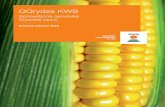 Sprawdzona genetyka Wysokie plony - KWS Saat · 6 Katalog odmian 2020 | Odmiany hodowli KWS i poprawna agrotechnika Katalog odmian 2020 | Odmiany hodowli KWS i poprawna agrotechnika