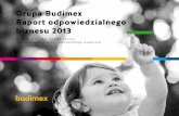 Grupa Budimex Raport odpowiedzialnego biznesu 2013 · • Stowarzyszenie Polskich Przedsiębiorstw Usługowych w Niemczech, • UN Global Compact. [G4-9] Na rynku niemieckim w 2012