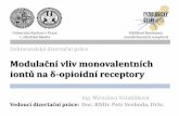 Modulační vliv monovalentních opioidní receptory PhD... · 2016-01-26 · Doktorandská dizertační práce Modulační vliv monovalentních iontů na δ-opioidní receptory Ing.