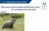 How much wood would a woodchuck chuck if a ... - Amazon S3 · PRESENT SIMPLE– Czas teraźniejszy (prosty) Użycie: •opisywanie stanu, a nie czynności (np. lubię) •opisywanie