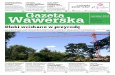 Bloki wciskane w przyrodę - Gazeta Wawerskagazetawawerska.pl/wp-content/uploads/2018/06/2018_06_05... · 2018-06-06 · jego domu. Spacerując w czerwcu zwróćmy uwagę na takie