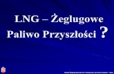 LNG Żeglugowe Paliwo Przyszłości - ZTWmailing.ztw.pl/files/Baltexpo2013/prezentacje/8_szynkaruk_pzm... · Polska Żegluga Morska P.P. (Polsteam), Szczecin, Poland – 2013 Konsekwencje