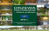 Drzewadrzewa.org.pl/wp-content/uploads/2019/02/Drogi-dla... · przydrożnych drzew. zdobyte wówczas doświadczenie zwróciło naszą uwagę na potrzebę podniesienia kompe-tencji