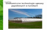 Ekonomiczne technologie uprawy jagodowych w tunelachforum.techdrinks.info/img/Haygrove_prezentacja_2017_Winnica_Ukra… · • W Polsce uprawiamy maliny letnie i jesienne • Proste