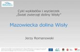 Mazowiecka dolina Wisływislawarszawska.pl/wp-content/uploads/2015/04... · „Świat zwierząt doliny Wisły” ... - środowisko bogatego i licznego zespołu zwierząt – wymaga