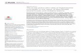 The in vivo and in vitro roles of Trypanosoma cruzi Rad51 ...eprints.gla.ac.uk/175426/1/175426.pdf · Souza Moreira2, Santuza Maria Ribeiro Teixeira1, Richard McCulloch4, Stela Virgilio5,