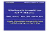 IMM Final Report within Underground M3 Project MhMonth ... Meeting - June 201… · teststests on on closedclosed looploop operationoperation •• Activity Activity planplan forfor