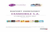 RAPORT OKRESOWY - static.igpw.pl · RAPORT OKRESOWY EXAMOBILE S.A. IV KWARTAŁ ROKU 2017 Bielsko-Biała, 14.02.2018 r. Raport EXAMOBILE S.A. za IV kwartał roku 2017 został przygotowany