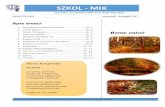 SZKOL - MIX 1.pdf · KWARTALNIK wrzesień - listopad 2017 Autorzy: Dominika Stelmach, Paulina Orlik, Kamila Kwiatkowska, Kacper Mizdal SZKOL - MIX NIETYPOWE ŚWIĘTA Praktycznie na