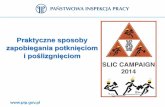 Potknięcia i poślizgnięciaopole.pip.gov.pl/pl/f/v/104865/poslizgniecia prezentacja.pdf 10 • Czy przeprowadzono ocenę ryzyka związaną z możliwością poślizgnięcia, potknięcia