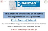 Prof. Andrzej Wiecek - UNDT · Prof. Andrzej Wiecek Department of Nephrology, Transplantation and Internal Medicine Medical University of Silesia, Katowice, Poland ... (predominantly
