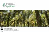 Tobiasz Adamczewski Dyrektor Działu Ochrony Przyrody ... · Raport stworzony na zlecenie Fundacji WWF Polska. 6. 7 WWF i zrównoważony olej palmowy • WWF pomogło stworzyć certyfikat