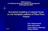 Numerical modeling of material fluxes on the floodplain ...levis.sggw.waw.pl/.../w3m/presentations/Session_1/magnuszewski_e… · Jelowicki J., 2002, Floodplain inundation based on