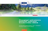 Przegląd wdrażania polityki ochrony środowiska 2019ec.europa.eu/environment/eir/pdf/report_pl_pl.pdf · gatunków morskich. Polska nadal mierzy się ponadto z wyzwaniami związanymi