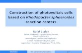 Construction of photovoltaic cells based on Rhodobacter ... · Rafał Białek Rba. sphaeroides photovoltaics 15/17 First conclusions and plans •Triplet minus singlet spectra of