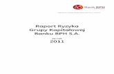 Raport Ryzyka Grupy Kapitałowej Banku BPH S.A. · 1.1.4 Główne rodzaje ryzyka W celu identyfikacji i zarządzania ryzykiem Grupa definiuje odpowiednie procesy, w szczególności