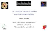 Le Doppler Trans-Crânien en neuroréanimation · DTC ACM x 2 + Tronc basilaire Critères: Reverse flow Pics systoliques isolés Disparition du signal . DTC confirme la ME chez 57%