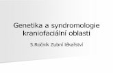 Syndromy kraniofaciální oblastiis.muni.cz/el/1411/podzim2015/ZLKG0911s/KFS_2016_IS.pdfGenetické příčiny hypodontie Izolované formy Nejčastěji zmiňovány mutace v genech: