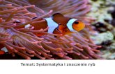 Temat: Systematyka i znaczenie rybb,c,.pdfI. Różne kształty ryb Polecenie 1. Na podstawie fotografii ryb i znanych Ci innych przykładów podaj przynajmniej 3 kształty ryb i napisz