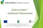„Duże projekty” –możliwości finansowania · Instytucja Zarządzająca PROW 2014-2010 –Minister Rolnictwa i rozwoju Wsi ... czy operacja mieści się w limicie środków