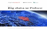 RAPORT Big data w Polsce - Fundacja DigitalPoland · 2020-03-26 · BIG DATA W POLSCE 10 Dane, mimo że często niewidoczne, od wielu lat towarzyszą nam na każdym kroku i z każdym