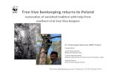 Tree hive beekeeping returns toPolands0cd79a79f9283571.jimcontent.com/download...Tree hive beekeeping returns toPoland restoration of vanished tradition with help from southern Ural