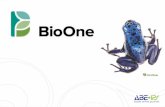O BioOne - Uniwersytet Warszawski BioONE.pdfBioOne w skrócie Ponad 80% tytułów jest klasyfikowanych przez ISI Clarivate Analytics: Ekologia– 21 tytułów BioOne ze 131 rankingowanych