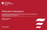 Polskie Mosty Technologiczne - Broker Eksportowy · 2019-01-31 · Polskie Mosty Technologiczne Elżbieta Krzyżanowska Zespół Projektowy PMT 30 stycznia 2019 r. Projekt współfinansowany