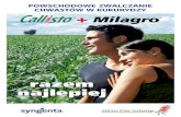 POWSCHODOWE ZWALCZANIE CHWASTÓW W KUKURYDZY · 2010-04-06 · Najczęściej stosowany herbicyd w ochronie kukurydzy MILAGRO® 040 SC to herbicyd powschodowy najchętniej stosowany