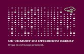OD CHMURY DO INTERNETU RZECZY - przemysl-40.plprzemysl-40.pl/wp-content/uploads/2019-Od-chmury-do-Internetu-Rzeczy.pdfw oparciu o technologię cyfrowego bliźniaka (Digital Twin).