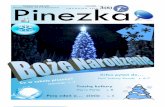 Pinezka - Zespół Szkół nr 5 w Rzeszowie · Ach! Niedługo kolejny rok za nami. Z 31 grudnia na 1 stycznia będziemy świętować nadejście nowego roku, już 2011.Pierwsze takie
