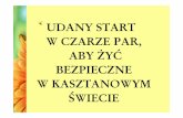 UDANY START W CZARZE PAR, ABY ŻYĆ BEZPIECZNE W … · 2009-12-30 · • Projekty realizowane przez uczniów w szkołach i środowisku. FORMY ... w projekcie chemia fizyka 2005/2006