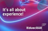 It’s all about experience!blue-cloud.pl/bluecloud.pdf · EFEKTYWNA WSPÓŁPRACA. NASZE NAGRODY Golden 10 Arrow x Eﬃe 4 Awards x wyróżnienie 3 Media & Marketing x Loyalty 3 Awards