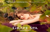 Grape Spa · 2020-05-07 · Grape Spa w Pałacu Mierzęcin powstało, by dzielić się pasją do wina i wyjątkowym miejscem wypoczynku. Pragniemy zaoferować Państwu tyle uwagi,